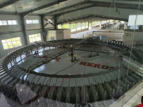 3fc5be228bc14fc6a590fc07f7d7874d.jpg 3fc5be228bc14fc6a590fc07f7d7874d.jpg