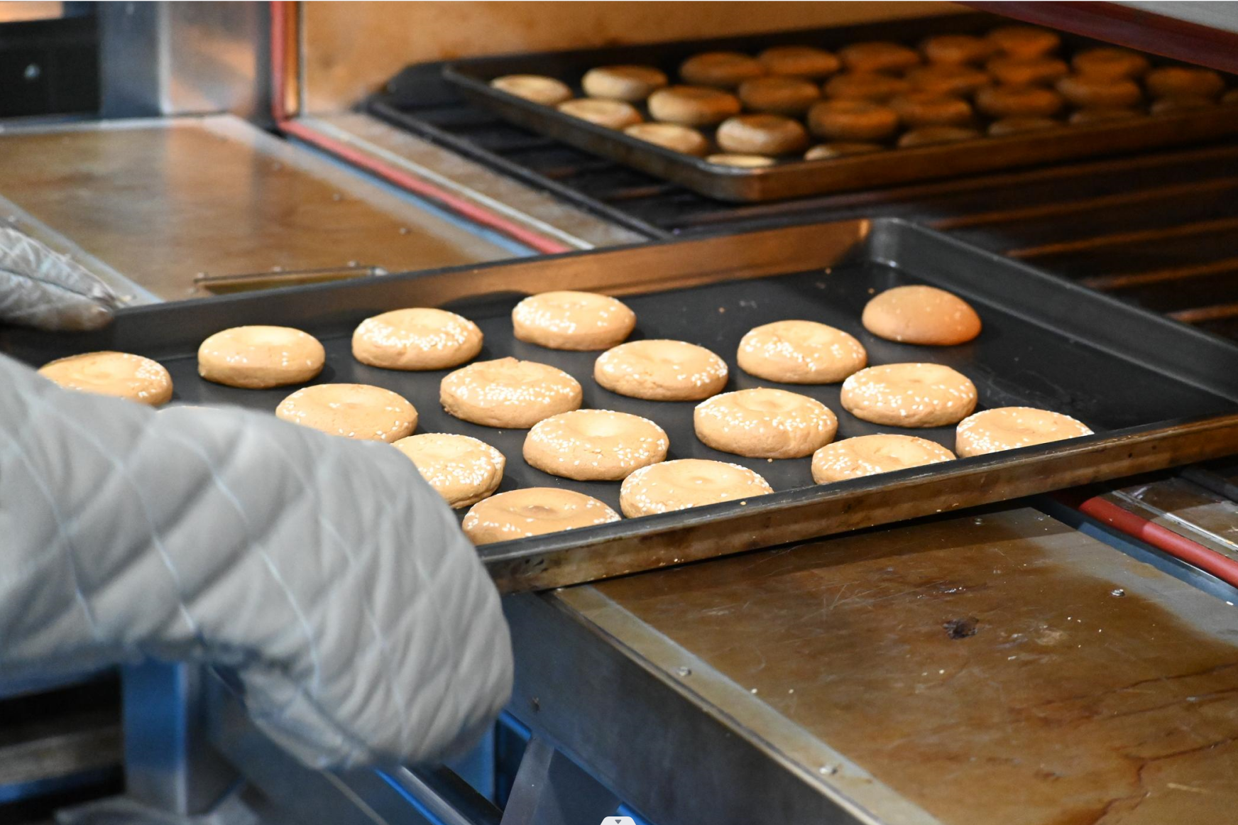 屏幕截图 2023-11-03 163312.png