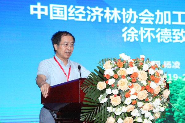 中国经济林协会加工利用分会会长、​365上市集团官网教授徐怀德致辞_副本.jpg
