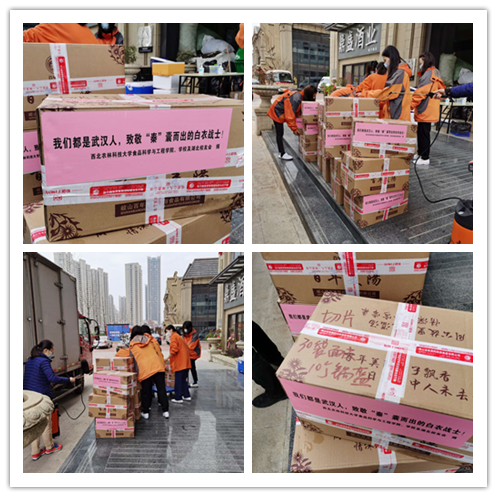 陕西省赴鄂援助医护人员接受捐赠2.png