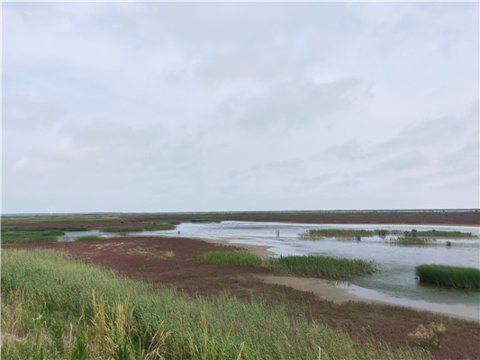 b4d319e51dee4f8eb4a559a3e95649c7.jpg 1_副本.jpg