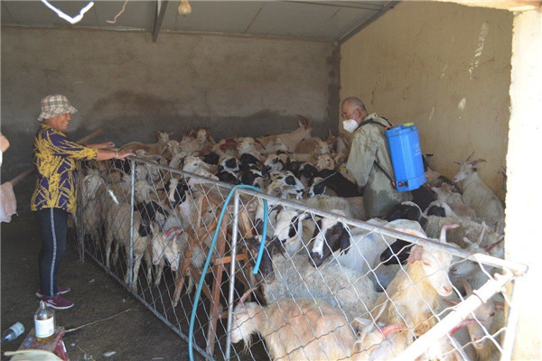 b6d6d09bc13048dba2d1524205776217.jpg 2_副本.jpg