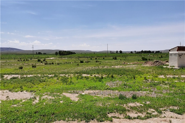 d3a40a0fbeb34e18bfbd1f6fa7ef9a52.jpg 1.jpg