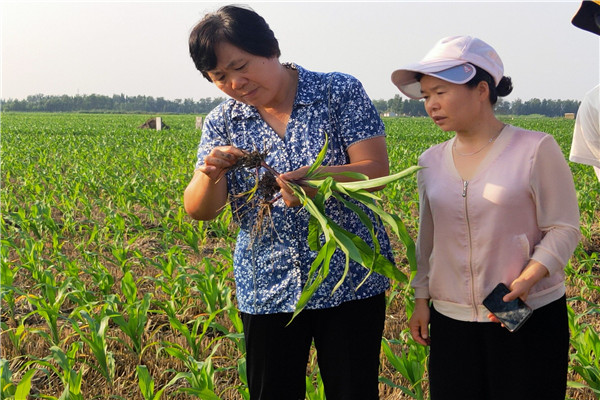 fe20bd7c4d244cf0ba473f484103411d.jpg 杜立芝确定病因_副本.jpg