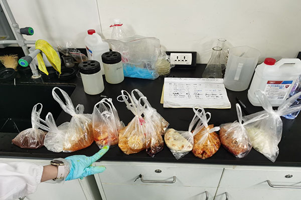 6765d3f26ef142508929d180ffe39f75.jpg 图为所有采集样品的呈现拍摄.jpg