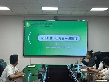 1532b551bd0a4528bbc01a8394b95c64.png image.png