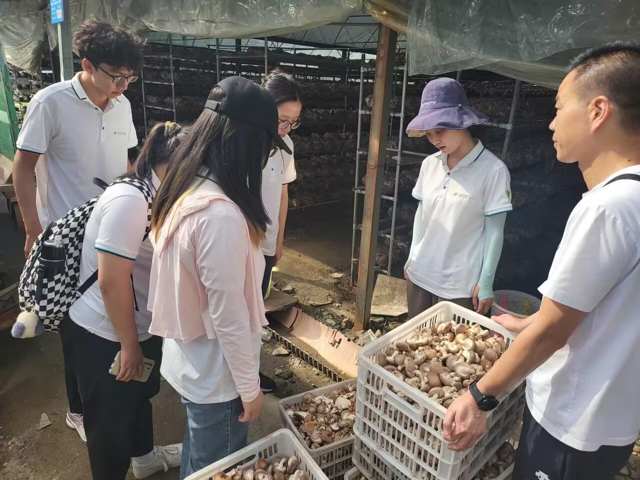 9a89433ecfdb49bba879b4635e065084.jpg 9a89433ecfdb49bba879b4635e065084.jpg